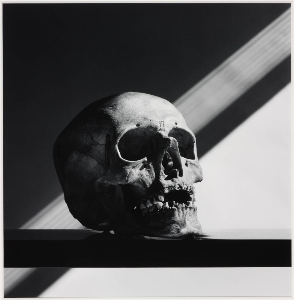 Skull 1988, printed 1990 by Robert Mapplethorpe 1946-1989
